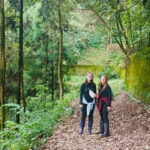 Darjeeling Cultural & Nature Walking Guided Tour - Who This Tour Is Best For