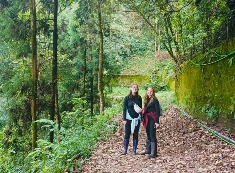 Darjeeling Cultural & Nature Walking Guided Tour - Who This Tour Is Best For