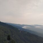 Darjeeling Forests on Foot - An In-Depth Look at the Darjeeling Forests on Foot Tour