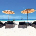 Dark View Falls & Botanical Gardens with Trubb Taxi Tours - Who Will Love This Tour?