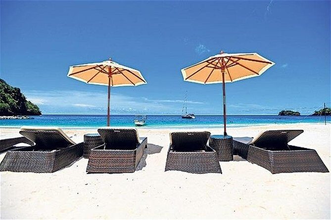 Dark View Falls & Botanical Gardens with Trubb Taxi Tours - Who Will Love This Tour?