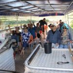 Darwin City Tour + Crocodile Cruise+Lunch Optional - Who Should Book This Tour?