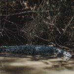 Darwin: Kakadu National Park Day Tour with Lunch - The Itinerary Breakdown: What Youll Experience