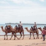 Darwin: Sunset Camel Ride along Mindil Beach - Details About the Experience