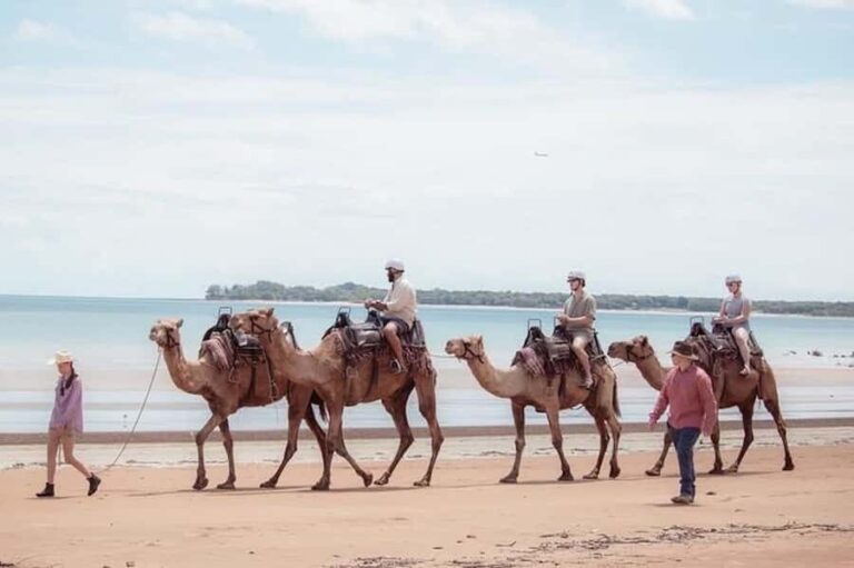 Darwin: Sunset Camel Ride along Mindil Beach - Details About the Experience