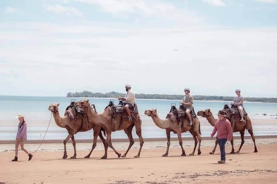 Darwin: Sunset Camel Ride along Mindil Beach - Details About the Experience