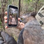 Darwin: Territory Wildlife Park Entry Ticket - What Will You See and Do?