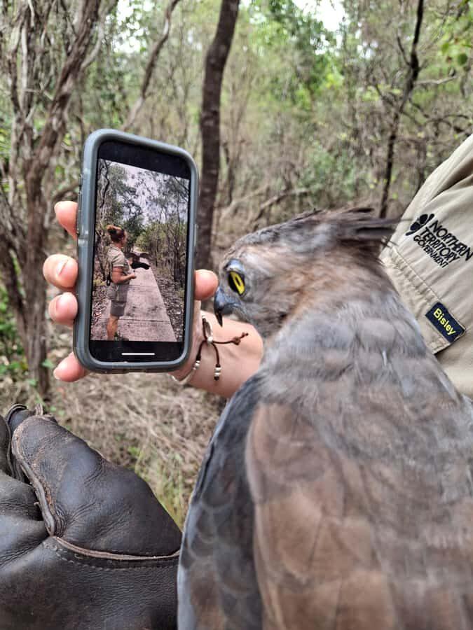 Darwin: Territory Wildlife Park Entry Ticket - What Will You See and Do?