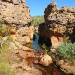 Darwin to Cairns: Kakadu & Gulf Savannah 11 Day Tour - Detailed Breakdown of the Itinerary