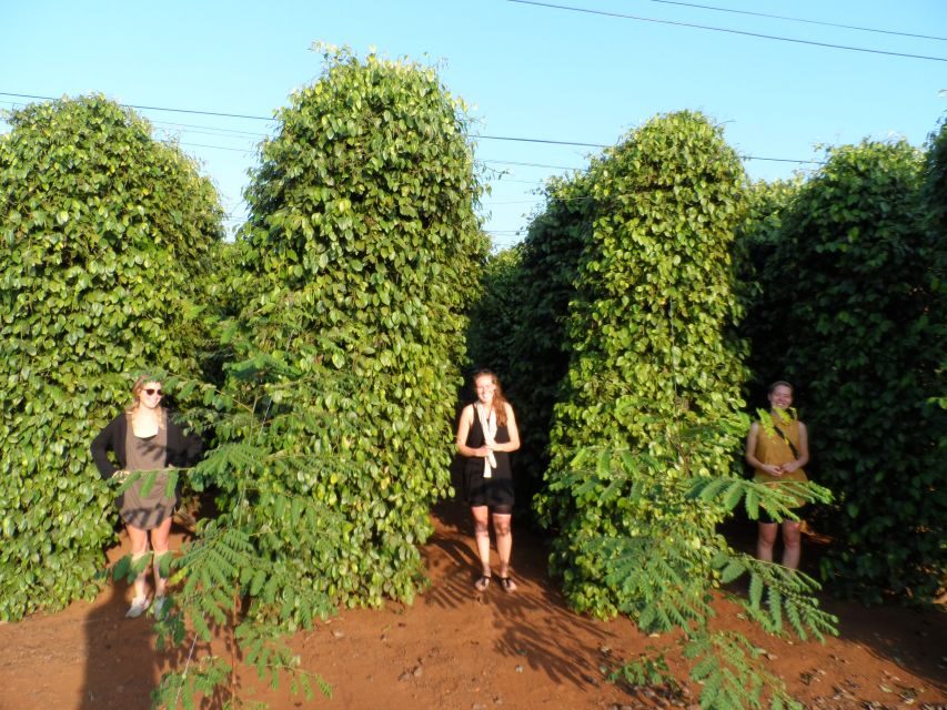 Datanla, Pongour, Elephant: 3 stunning and majestic falls - The Transport and Group Experience