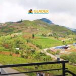 Davao: Full-Day Tour to Bansalan and Kapatagan - What to Expect During This Tour