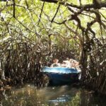 Day Excursion to Bentota from Colombo - The Experience from Real Reviews