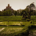 Day Excursions to UNESCO City ANURADHAPURA from Negombo - Who Should Consider This Tour?