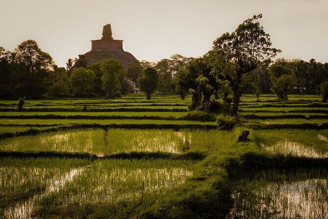 Day Excursions to UNESCO City ANURADHAPURA from Negombo - Who Should Consider This Tour?  