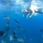 Day Tour and Snorkeling With Manta Rays to Lembongan From Bali - Transportation & Group Size