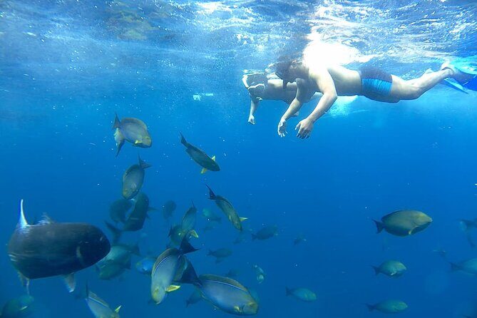 Day Tour and Snorkeling With Manta Rays to Lembongan From Bali - Transportation & Group Size