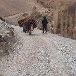 Day Tour from Samarkand Explore Panjakent and Seven Lakes - Authentic Experiences and Insights from Reviewers