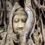 Day Tour of Ayutthaya and Bang Pa-In - Wat Mahathat