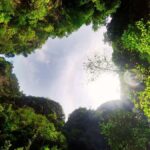 Day Trip 4 Islands & Koh Kradan Snorkeling By Longtail Boat - The Sum Up: Is It Worth It?