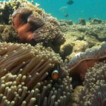 Day Trip 5 Secret Giilis in West South of Lombok - What We Think About the Value