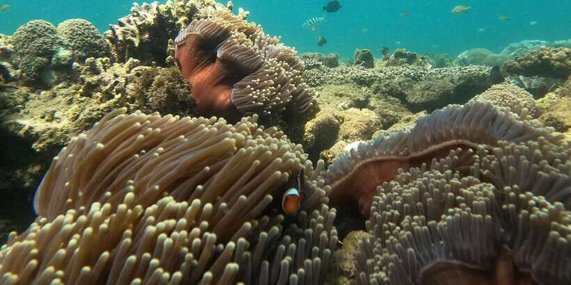 Day Trip 5 Secret Giilis in West South of Lombok - What We Think About the Value