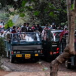 Day Trip from Jaipur to Ranthambore Safari - Practical Tips for a Successful Trip