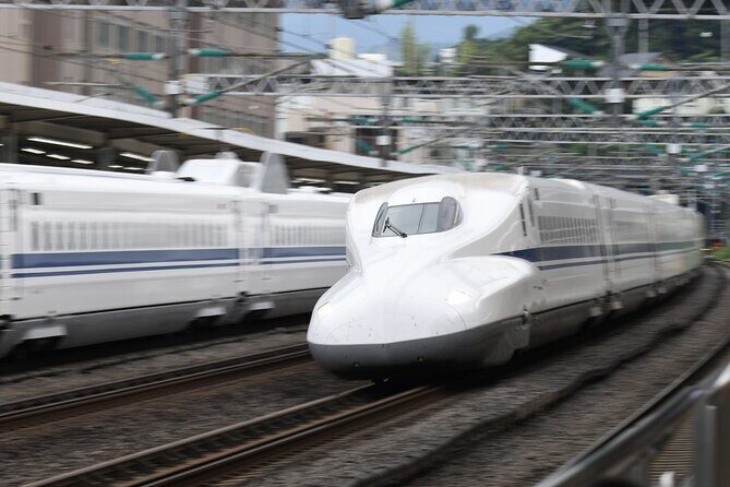 Day Trip Kyoto from Tokyo with a Licensed Guide by Bullet Train - What to Expect from the Experience