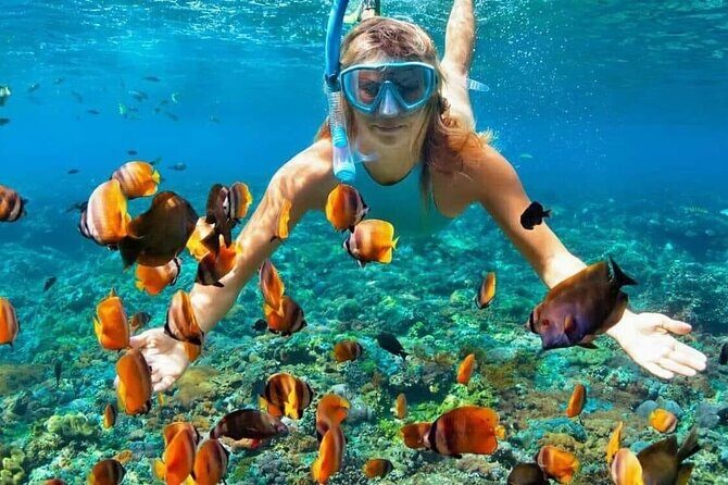 Day Trip: Nusa Penida Snorkling - What to Expect from the Itinerary