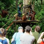Day Trip Sepilok Orang-utan And City Tour (Flight Excluded) - Practical Details & What to Expect