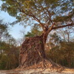 Day Trip to Sambor Preikuk, Kuhak Nokor & Spider Market - Exploring Kuhak Nokor: Cambodia’s Hidden Temple Gem