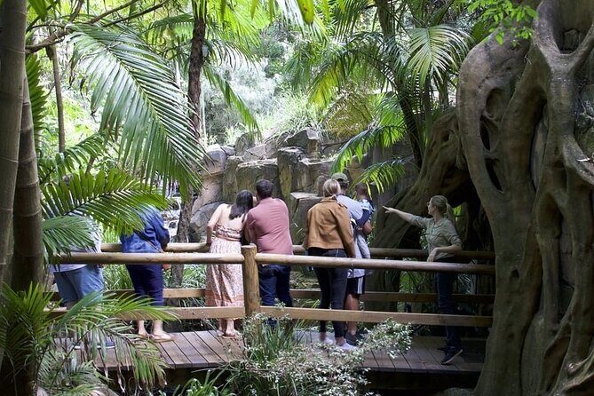 Daytime Scenic Rim Glow Worm Tour + Hop on Hop off Bus - Authentic Feedback from Travelers