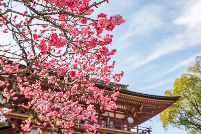 Dazaifu, Yanagawa River Cruise & Strawberry Picking from Fukuoka - FAQ