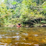 Dediyagala Village Tour(from Galle, Mirissa, Ahangama, Matara) - Why This Tour Offers Great Value