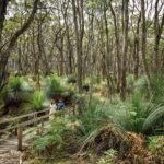 Deep Creek National Park: 4WD Adventure and Native Food Tour - The Guided Walk at Tapanappa: A Serene Escape