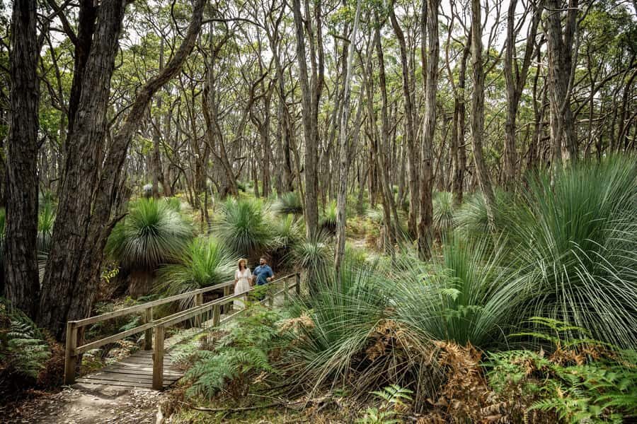 Deep Creek National Park: 4WD Adventure and Native Food Tour - The Guided Walk at Tapanappa: A Serene Escape