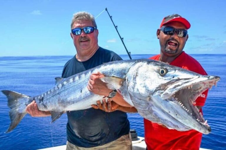 Deep Sea Fishing Tour in Trincomalee - The Practical Details