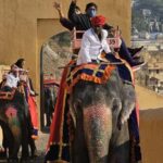 Delhi, Agra & Jaipur: 3-Day Private Golden Triangle Tour. - The Practicalities: What Does It All Mean?