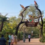 Delhi: Chandigarh 3-Day Tour with Hotel and Transfers - Day 1: Discovering the Local Charms