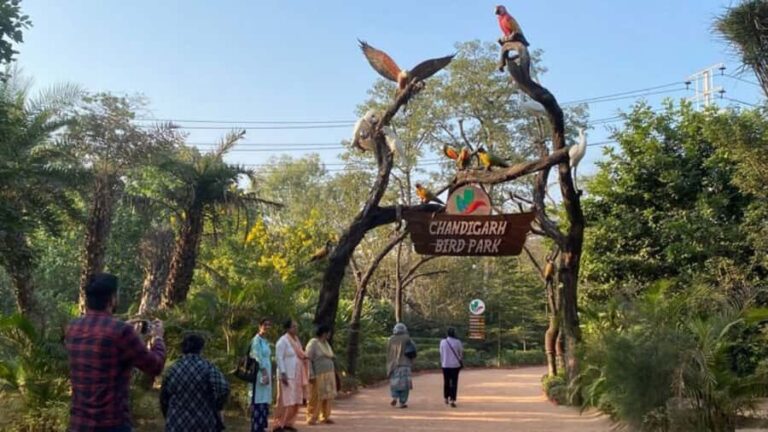 Delhi: Chandigarh 3-Day Tour with Hotel and Transfers - Day 1: Discovering the Local Charms