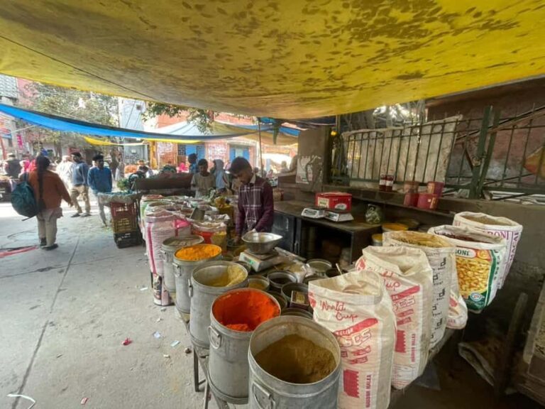 Delhi: Full-Day Shopping Tour with Male & Female Guide - Exploring the Markets Heart: What Youll See and Taste