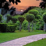 Delhi: Garden of Five Senses Guided Tour with Pickup - Authentic Experiences and Traveler Insights