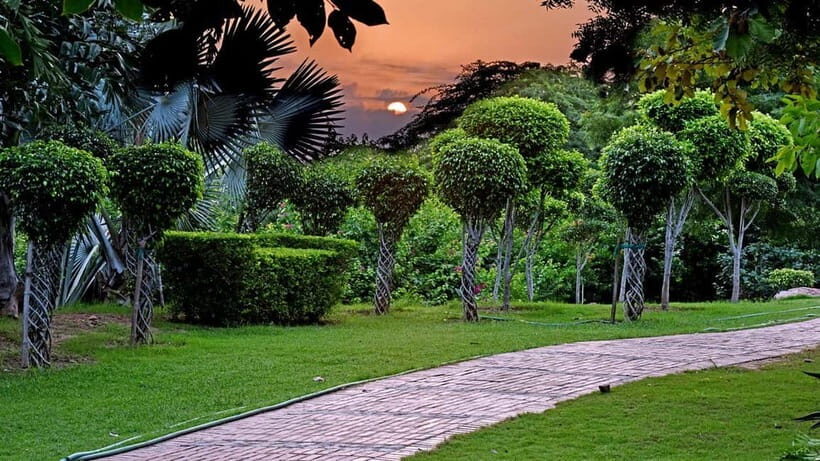 Delhi: Garden of Five Senses Guided Tour with Pickup - Authentic Experiences and Traveler Insights