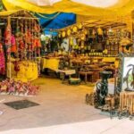 Delhi: Guided Shopping Tour Experience with Female Expert - Who Should Consider This Tour?