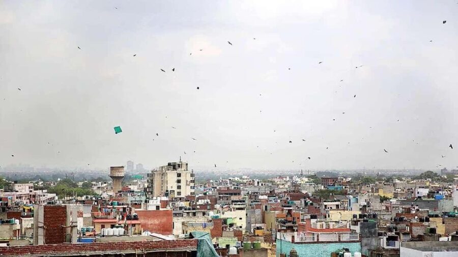 Delhi: Kite Flying in Old Delhi-A Journey Through the Skies - How the Itinerary Unfolds