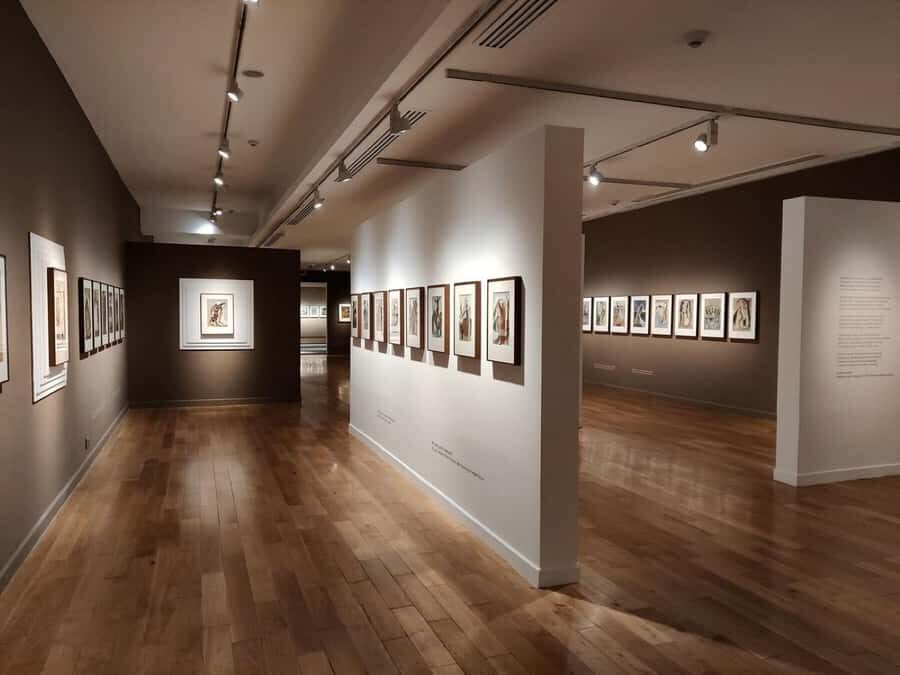 Delhi: Museums Tour with Curator-Led Session & Pickup - Practical Details and Tips