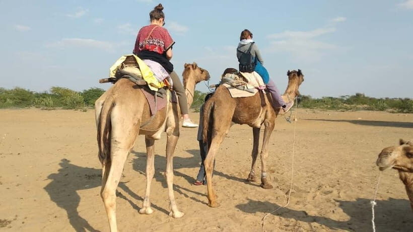 Delhi : One Day Sightseeing Tour - Who Is This Tour Best For?