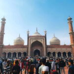 Delhi: Private Old & New Delhi Tour  Full or Half Day - Authentic Experiences and Local Insights