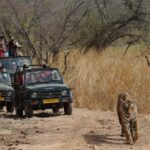Delhi: Same Day Sariska National Park Tiger Safari Tour - Arrival at Sariska: A Briefing and First Impressions
