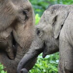 Delhi: Same Day Taj Mahal & Agra Fort Tour with Baby Taj & Lunch - Who Should Consider This Tour?