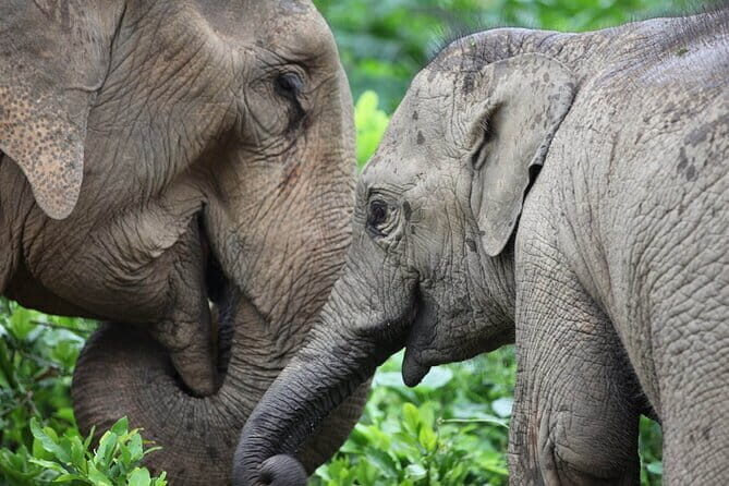 Delhi: Same Day Taj Mahal & Agra Fort Tour with Baby Taj & Lunch - Who Should Consider This Tour?